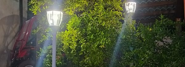 Studio dimostra come l’impatto del Covid in termini di contagi, ricoveri e decessi sia stato inferiore in quelle città che vantano una maggiore estensione del verde pubblico e minori concentrazioni medie annue di PM2.5.