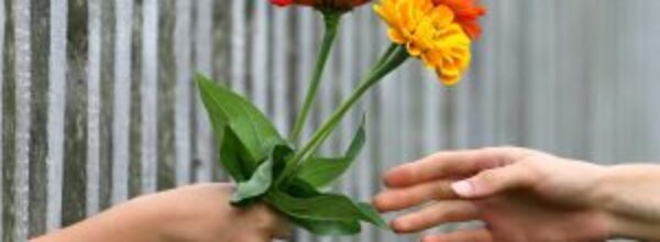 Oggi, domenica 13 novembre, ricorre la Giornata della Gentilezza.Mostrarsi gentili, educati e rispettosi, fa bene a se stessi, agli altri e alla comunità . Gentilezza è essere premuroso con qualcuno ed essere rispettoso del prossimo.