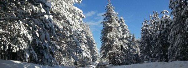 21 dicembre 2022 c’è il cambio di stagione. Si chiude l’autunno ed entra l’inverno.