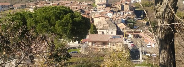 Forti sospetti sulla gestione dei beni dell’agiata novantottenne, scomparsa di recente a Santo Stefano di Rogliano.