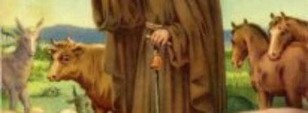Martedì 17 gennaio 2023. Il santo del giorno: Sant’ Antonio Abate. Avvenne oggi: 1929 – Braccio di Ferro, un personaggio dei fumetti creato da Elzie Crisler Segar, appare per la prima volta con una striscia su un quotidiano.