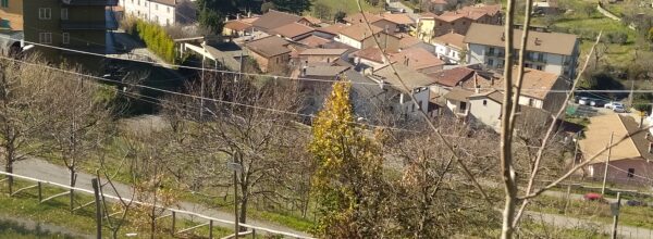 Crescono i dubbi sulla gestione del patrimonio della novantottenne, deceduta a Santo Stefano di Rogliano. ” Il Comune, in qualità di erede testamentario, sollecitato dalla minoranza a richiedere gli estratti conto.