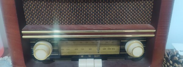Ricorre oggi, 13 febbraio, la Giornata mondiale della radio. L’apparecchio elettronico resiste, non è crollato con l’avvento della televisione e non si è spento con la diffusione di Internet