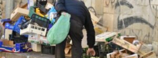 Incoraggiare la lotta contro lo spreco alimentare. Oggi domenica 5 febbraio , Giornata Nazionale di Prevenzione dello spreco alimentare.