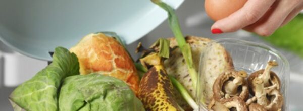 15 marzo, Giornata mondiale dei diritti dei consumatori
