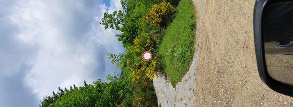 Situazione critica delle strade comunali a Santo Stefano: Un’analisi del Consigliere Salerno sulla viabilità montana e non solo. Dall’incuria all’abbandono: le promesse mancate dell’amministrazione locale