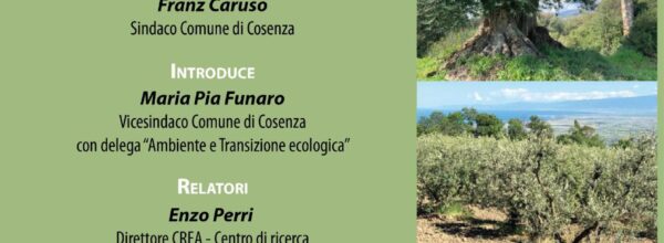 21 giugno 2023: Biodiversità olivicola – Promuovere la consapevolezza per la tutela dell’ecosistema agricolo. Incontro organizzato dalla Fidapa a Rende.