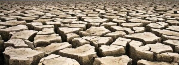 Sabato 17 giugno 2023: Giornata mondiale per la lotta alla desertificazione.